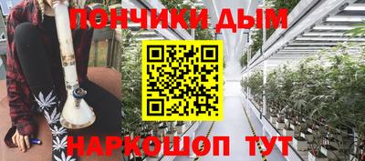 шишки Славгород