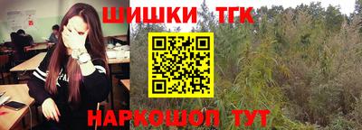 шишки Славгород