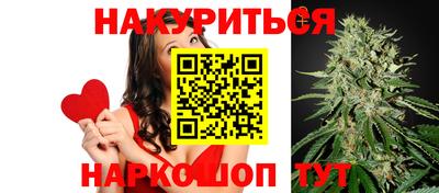амф Сланцы