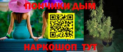 амф Сланцы