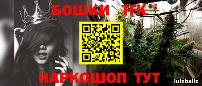 шишки Славгород