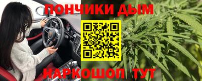 шишки Славгород