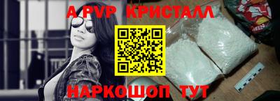 амф Сланцы