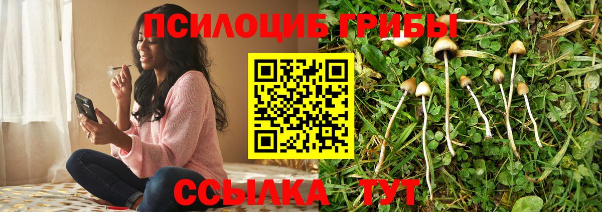 Псилоцибиновые грибы GOLDEN TEACHER Нягань